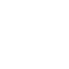 icons8 leather 100