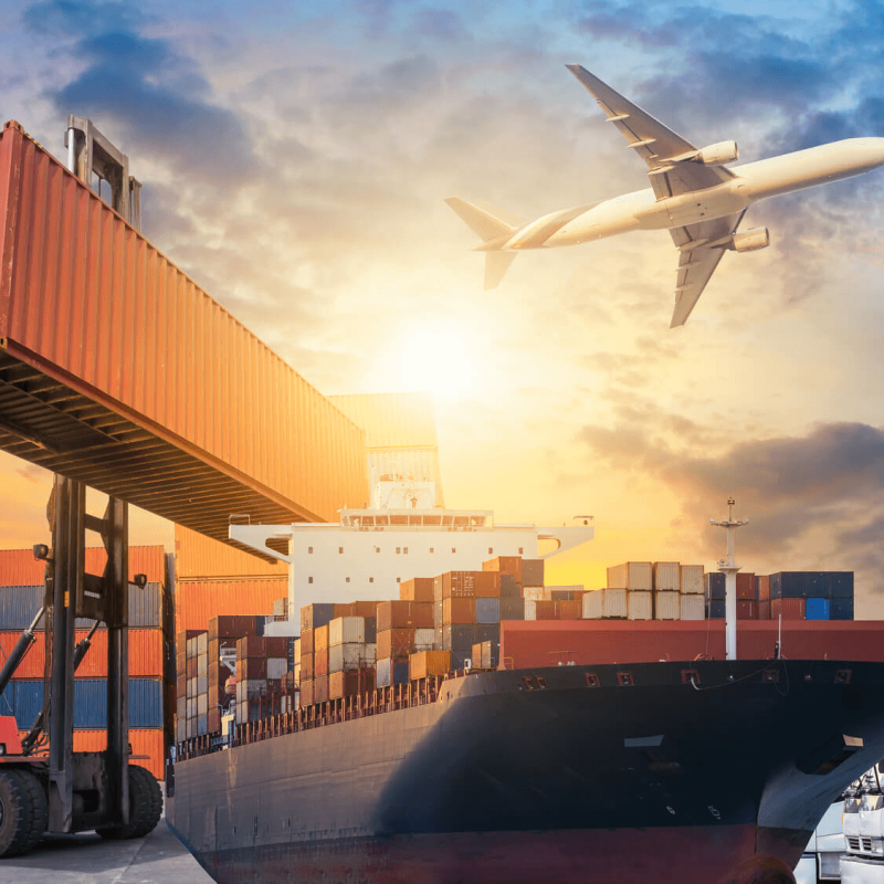 Global Logistics Hassle Free Shipping